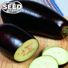 New Arrival Black Beauty Eggplant Seeds - 150 SEEDS NON-GMO