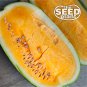 Exclusive Tendersweet Orange Watermelon Seeds - 50 SEEDS NON-GMO