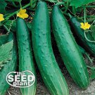Limited Edition Sweet Burpless Cucumber Seeds - 25 SEEDS