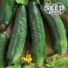 Premium Marketmore 76 Cucumber Seeds - 50 SEEDS