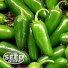 Best-Selling Jalapeno M Pepper Seeds 100 SEEDS