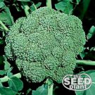 Limited Edition Waltham 29 Broccoli Seeds -500 SEEDS NON-GMO