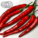Exclusive Cayenne Long Slim Pepper Seeds - 100 SEEDS NON-GMO