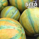 Exclusive Israel Ogen Melon Seeds 50 SEEDS