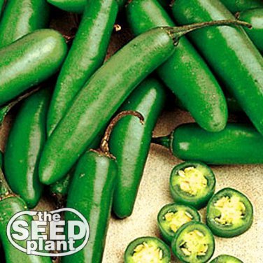 Best-Selling Serrano Chili Pepper Seeds - 200 SEEDS