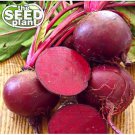 Top-Quality Dark Red Detroit Beet Seeds - 125 SEEDS NON-GMO