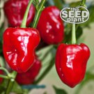 Top-Quality Habanero Red Pepper Seeds 50 SEEDS