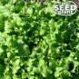 Premium Salad Bowl Lettuce Seeds - 1,000 SEEDS