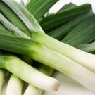 Top-Quality 50 FRESH HEIRLOOM LEEK AMERICAN FLAG SEEDS