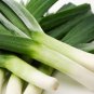 Top-Quality 50 FRESH HEIRLOOM LEEK AMERICAN FLAG SEEDS