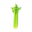 Exclusive CELERY 20 VEGETABLE SEEDS