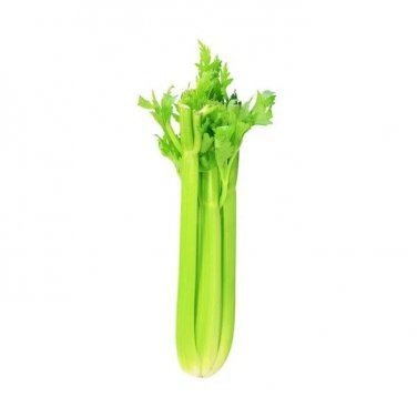 Exclusive CELERY 20 VEGETABLE SEEDS