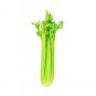 Exclusive CELERY 20 VEGETABLE SEEDS