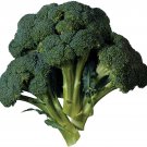 Premium BROCCOLI 15 VEGETABLE SEEDS