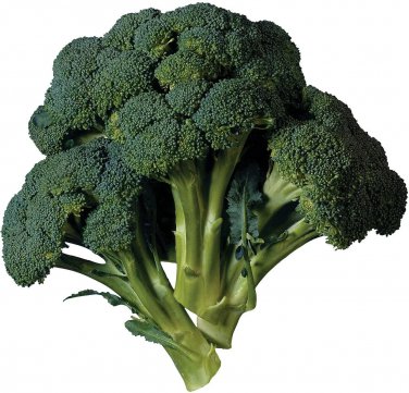 Premium BROCCOLI 15 VEGETABLE SEEDS