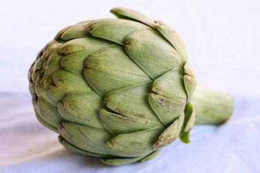 Premium ARTICHOKE 5 VEGETABLE SEEDS