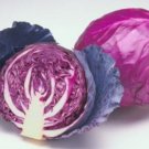 Best-Selling 25 FRESH CABBAGE RED ACRE SEEDS
