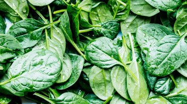 Limited Edition SPINACH 10 VEGETABLE SEEDS