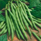 New Arrival GREEN BEANS 5 VEGETABLE SEEDS