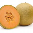 Exclusive CANTALOUPE MELON 5 FRUIT SEEDS