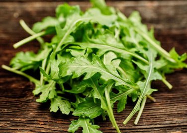 Limited Edition ARUGULA LETTUCE 15 VEGETABLE SEEDS