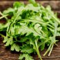 Limited Edition ARUGULA LETTUCE 15 VEGETABLE SEEDS