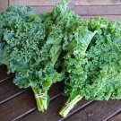 Top-Quality KALE 15 VEGETABLE SEEDS