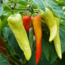 Limited Edition SWEET BANANA PEPPERS 10 VEGETABLE SEEDS
