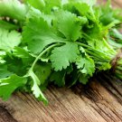 Limited Edition CILANTRO 10 FRESH HERB SEEDS