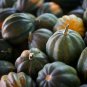 Top-Quality ACORN SQUASH 5 VEGETABLE SEEDS