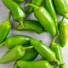 Exclusive JALAPENO PEPPERS 10 VEGETABLE SEEDS