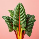 Best-Selling 125+ RAINBOW SWISS CHARD SEEDS | HEIRLOOM NON-GMO MICROGREENS ???? SALAD GARDEN
