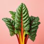 Best-Selling 125+ RAINBOW SWISS CHARD SEEDS | HEIRLOOM NON-GMO MICROGREENS ???? SALAD GARDEN