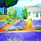 Limited Edition 1200+ ENGLISH LAVENDER SEEDS SPRING PERENNIAL HERB MOSQUITO INSECT REPELLENT USA