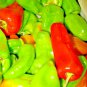 Premium SWEET CUBAN PEPPER RARE SPRING VEGETABLE GARDEN HEIRLOOM 50 SEEDS NON-GMO USA