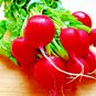 Top-Quality 300+ CHERRY RADISH SEEDS VEGETABLE SPRING GARDEN SALADS HEIRLOOM NON-GMO USA