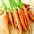 Premium CARROT 200 SEEDS SPRING VEGETABLE GARDEN NON-GMO SWEET HEIRLOOM SALADS USA