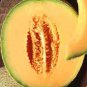 Top-Quality 100+ HONEY ROCK SPRING CANTALOUPE MELON HONEYROCK HEIRLOOM NON-GMO SEEDS SWEET