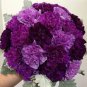 Exclusive 100 Purple Mix Carnation Seeds Dianthus Flowers Seed Flower Perennial Bloom 218
