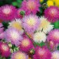 Exclusive 50 Pink Purple White Sweet Sultan Flower Seeds Perennial Flowers 256 Us Seller