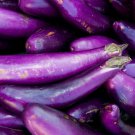 New Arrival Eggplant Long Purple Seeds 200+ Vegetable Garden Heirloom NON-GMO USA