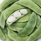 Top-Quality Bean Seeds 20 Henderson Dwarf Baby Lima Vegetable NON-GMO USA