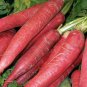 New Arrival Atomic Red Carrot Seeds 150+ Vegetable Garden NON-GMO USA