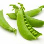 Limited Edition Sugar Snap Pea Seeds 25 Ct Pod Peas Vegetable Garden HEIRLOOM NON-GMO USA