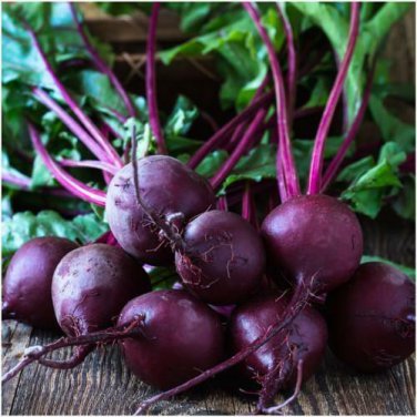 Premium Beet Seeds Early Wonder Tall Top 100 Ct Vegetable Garden NON-GMO