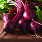 Best-Selling Bull's Blood Beet Seeds 100 Ct Vegetable Garden NON-GMO USA SELLER