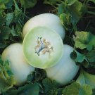 Best-Selling Honey Dew Green Flesh Cantaloupe Seeds 50+ Fruit Melon NON-GMO