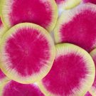Exclusive Watermelon Radish Seeds 100+ Vegetable Garden NON-GMO USA SELLER