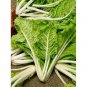 Limited Edition Swiss Chard Lucullus Seeds 50 Ct Heirloom Vegetable Garden NON-GMO