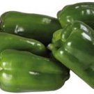 Top-Quality Cascadura Sweet Pepper Seeds 25+ Vegetable NON-GMO HEIRLOOM USA